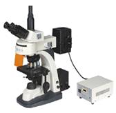 JF 100 FLUORESCENCE MICROSCOPE