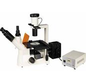 TF 400 FLUORESCENCE MICROSCOPE