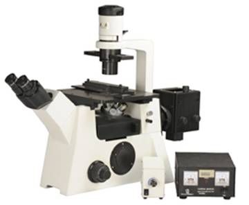 TF 500 FLUORESCENCE MICROSCOPE