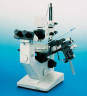 WILOVERT HUND MICROSCOPE