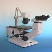 WILOVERT AFL  MICROSCOPE